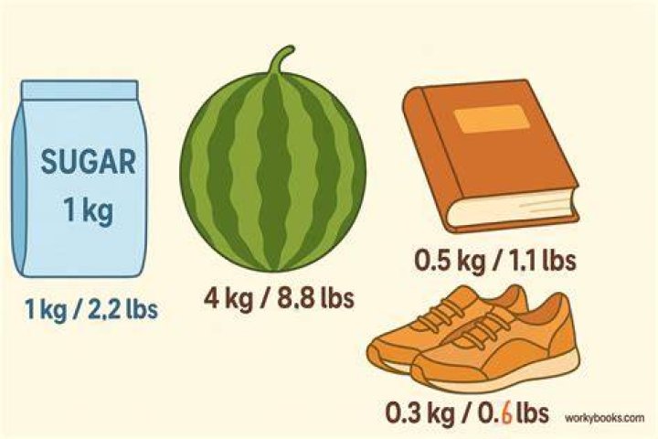 Are kilo and kilogram the same?