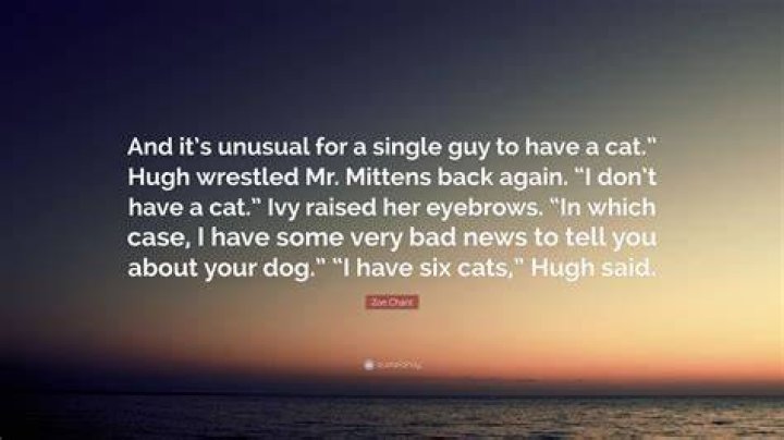 Can a single guy have a cat?
