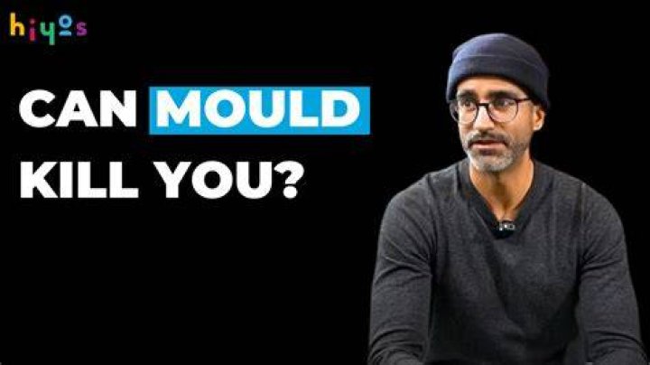 Can mould kill you?