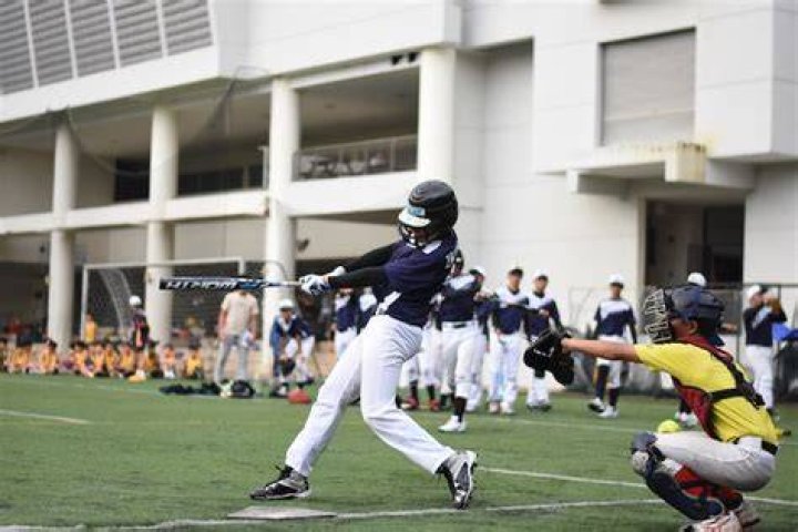 Do bunts count as hits?