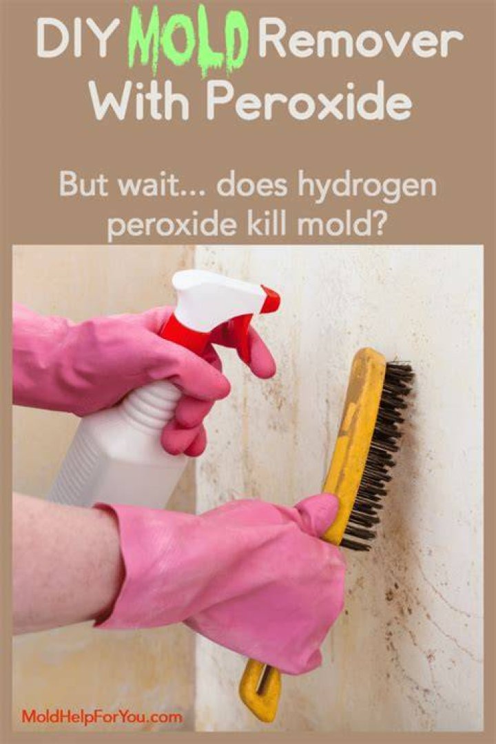 Does 3% peroxide kill mold?