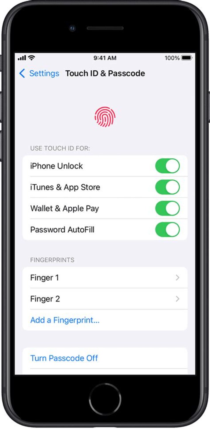 Hat das iPhone SE Touch ID?
