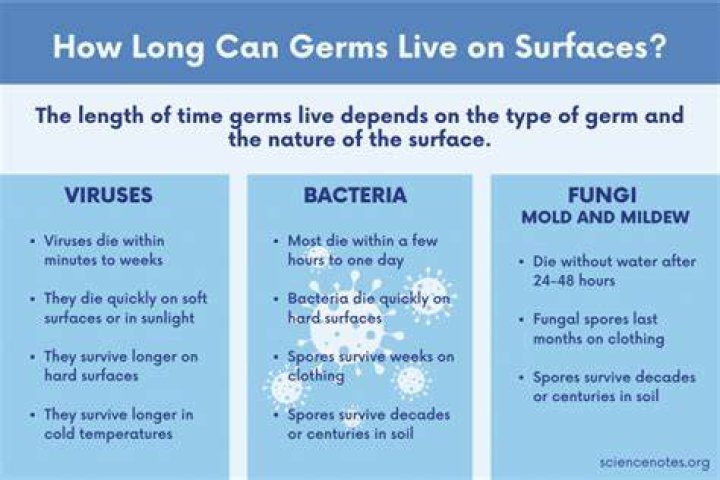 How long do cold germs live on paper?