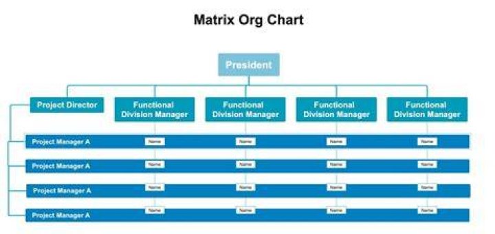 In a matrix organizational structure?