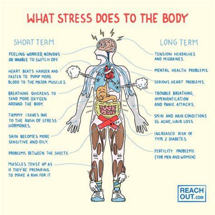 What does normal stress mean?