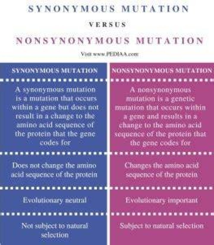 What is a synonymous mutation?