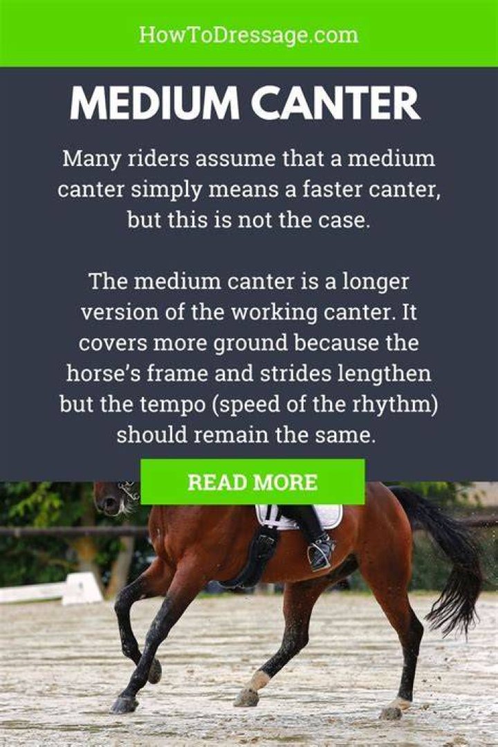 What is medium canter?