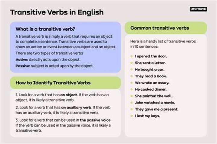 What is transitive verb with example?