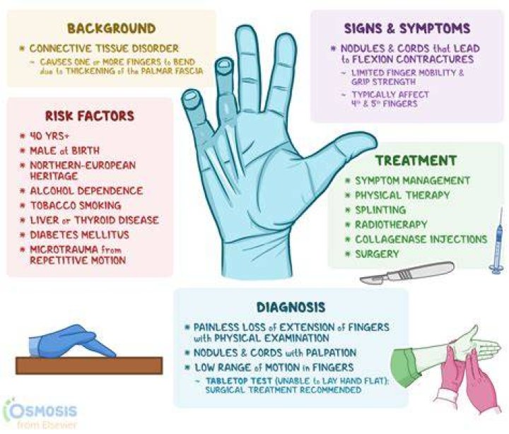 When do contractures occur?